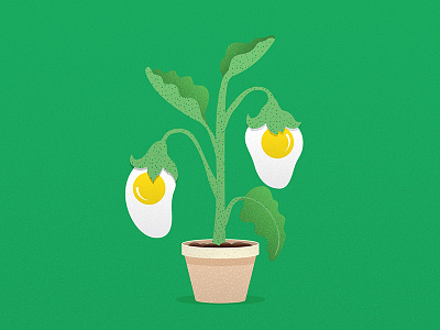 Egg Plant :) eggplant eggs green illustration plant pot texture yellow