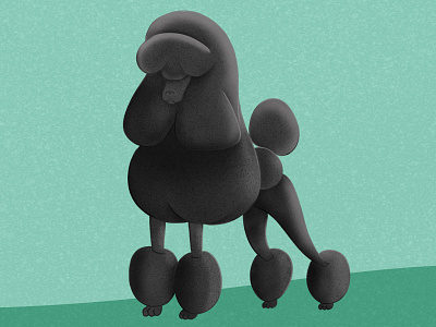 Poo Dribbble dog illustration poodle