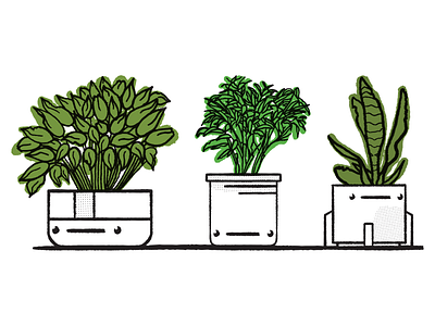 Potheads design design757 digital illustration graphic design green illustration planters plants pots