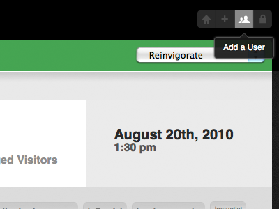 Pictos sighting in the new Reinvigorate.net analytics green icons pictos reinvigorate web