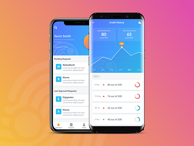 Credit Privacy App app charts credit mobile notifications privacy ui