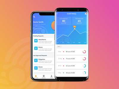 Credit Privacy App