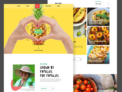 La Dona Fruit brand identity corporate design fruit header news recipes responsive scroll animation