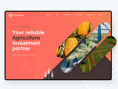 Farmfolio - Website Re-design agriculture assets carousel chart crops design farm fintech fruits header investment orange pineapple responsive design ui vector vegetables