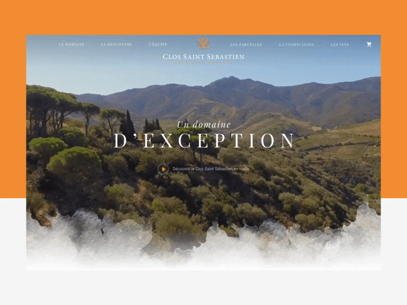 Domaine Saint Sébastien - WIP animation homepage ui web wine