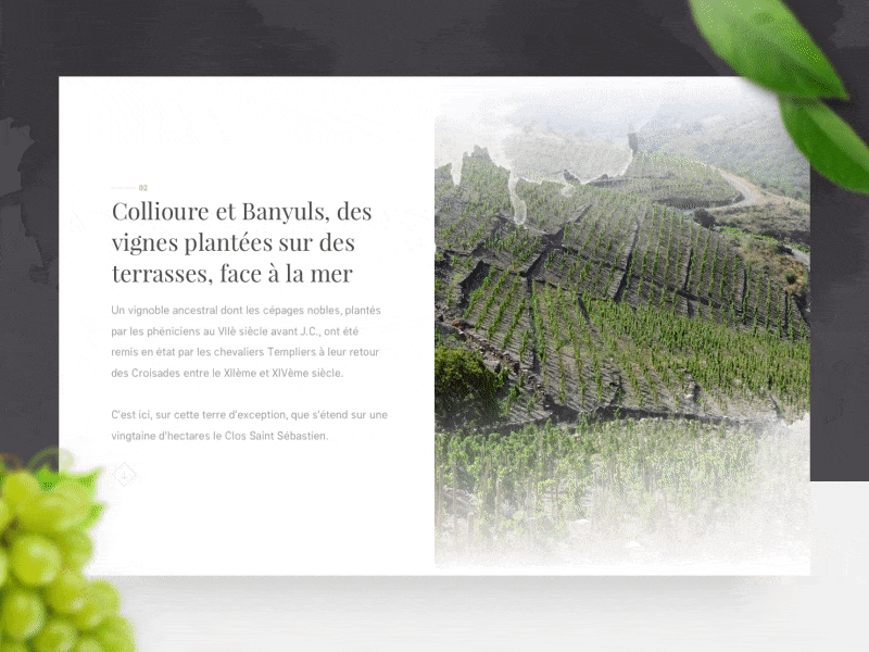 Parallax scrolling - WIP animation homepage parallax web wine