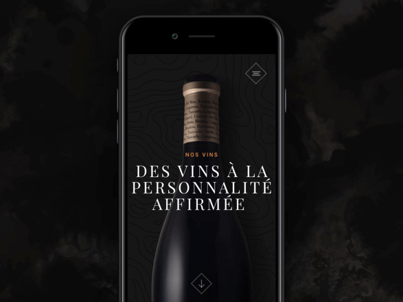 Wine Header animation mobile ui