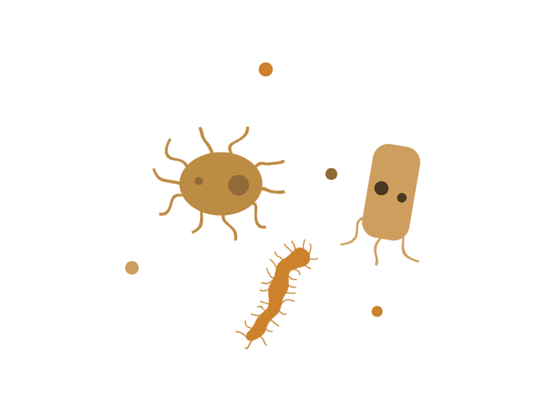 Bacterium! 2d animation bacterias cycle gif loop