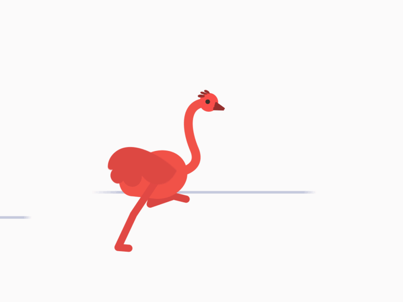 Ostrich running!