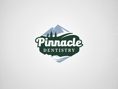 Pinnacle colorado dental logo outdoors