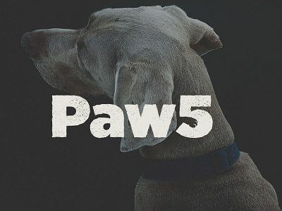 Paw5