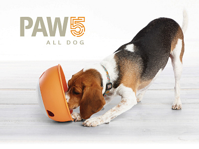 PAW5 bold branding dog logo puzzle