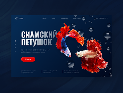 Aquarium aquarium aquarium fish deep blue fish online shop online store ui web design