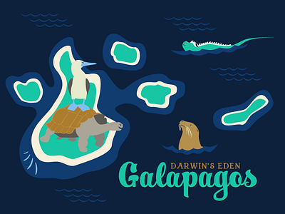 Galapagos bird galapagos iguana islands map seal turtle waves