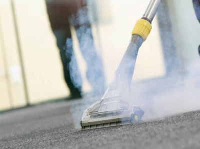 Professional Carpet Steam Cleaning