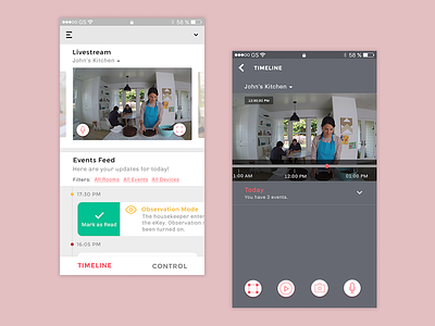 Live Stream - Nest Smarthome App
