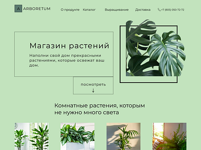Web design \ Веб-дизайн сайта