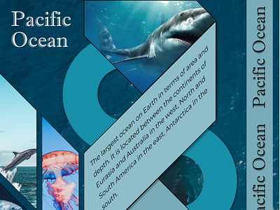 Web design Pacific Ocean