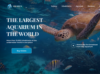 LANDING PAGE | WEB DESIGN | AQUARIUM design graphic design ui ux