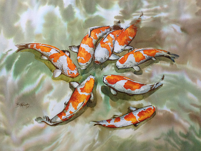 Koi Fish color water