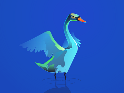 Swan illustration illustration