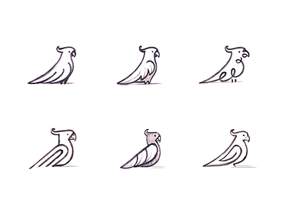 Parrot Sketches bird icon bird illustration bird logo drawings illustration design logo creation logomarks parrot logo sketches vector