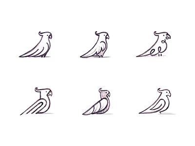 Parrot Sketches