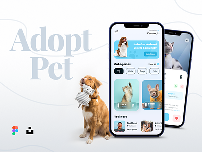 Pet Adoption App adopt adopt pet app app design cards icon interaction design minimal mobile app pet pet adoption typography ui ui concept uiux visual design