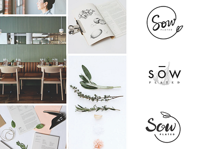 Restaurant Branding branding branding concept lettering logo moodboard organic restaurant soft vegan