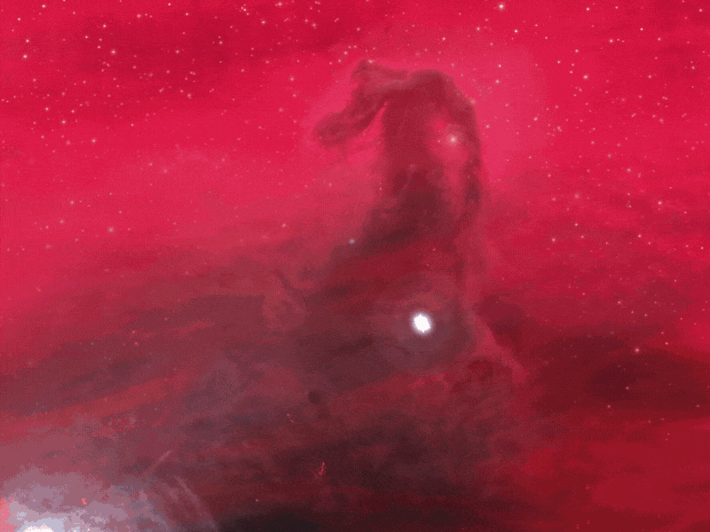 Horse Head Nebula aftereffects animation design galaxy galaxy tour illustrator nebula parallax space tours