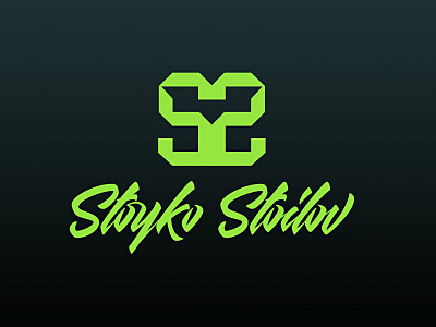 Stoyko Stoilov brush calligraphy design logo logoname personallogo spinning spinninginstructor sports stoykostoilov type