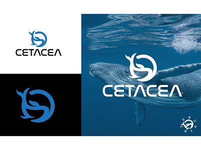 CETACEA branding branding logo custom logo design fiverr fiverr gig fiverr logo graphic design minimal minimal logo