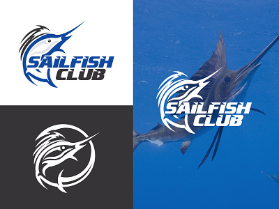 Sailfish Club branding branding logo custom logo design fish logo fiverr fiverr gig fiverr logo graphic design icon illustration logo logomark pictorallogo