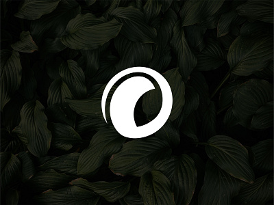 O + leaf branding design leaf letter logo minimalist modern o sport vector