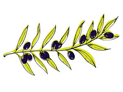 Olive Branch Vector Sketch art artwork botanic botanical art botanical illustration botany colorful colours design drawing illustration illustration art illustrator olive olive illustration sketch trendy vector