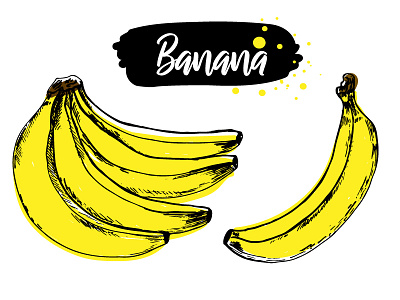 Banana Sketch art artwork banana banana sketch botanic botanical botanical art botanical illustration colorful colours design drawing illustration illustration art illustrator sketch sketching trendy vector yellow