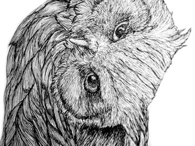 Le rire du hibou animal design handmade illustration sketch textile