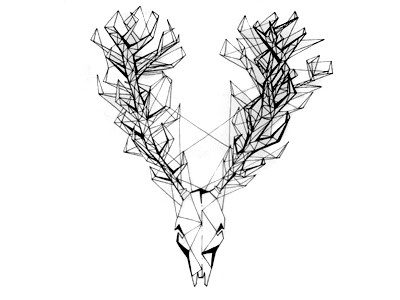 Cerf Skull animal handmade illustration sketch