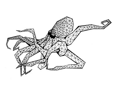 Galaxie Pieuvre animal handmade illustration sketch