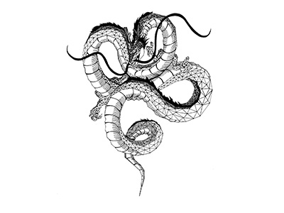 Shenron Dragon animal dragon dragonballz handmade illustration sketch