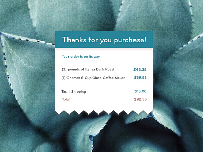 Daily UI - Email Receipt daily ui email interface minimal receipt ui user