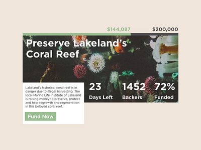 Daily UI - Crowdfunding crowdfunding daily ui fund life minimal money ocean page support ui user