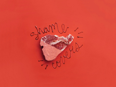 Shame Covers art direction color food meat paint photography typography