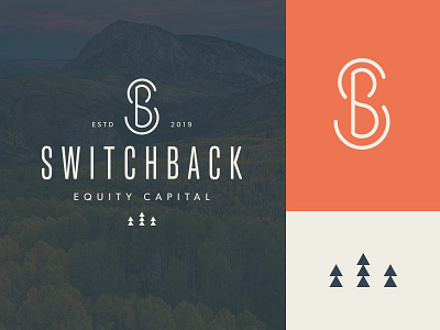 Switchback Logo branding branding design logo logo design monogram logo