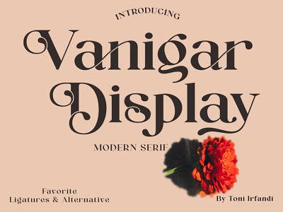 Vanigar Display