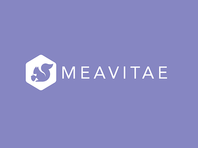 Logo for Meavitae brand colors logo