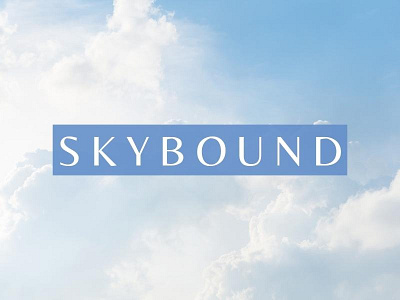 SKYBOUND: Airline branding dailylogochallenge design graphic design illustration logo typography ui