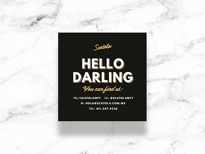 Scatola Business Cards black bold branding business cards cute foil lettering logo luxury stationery