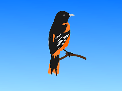 Bird - First Dribbble design graphic design illustration vector