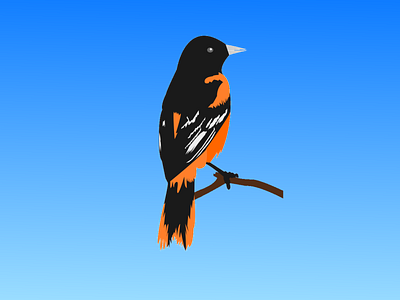 Bird - First Dribbble